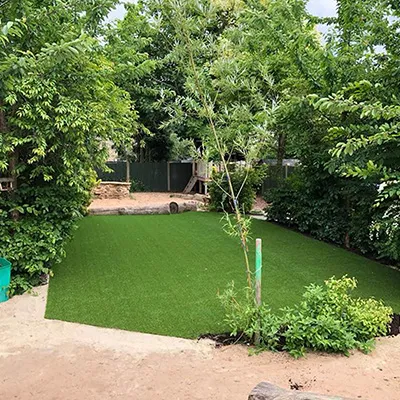 a luscious park