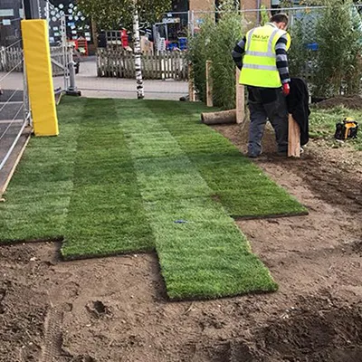 unrolling grass
