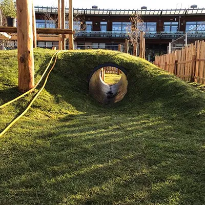 grass covered tunnel