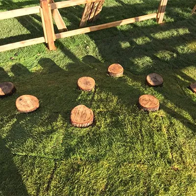 logs